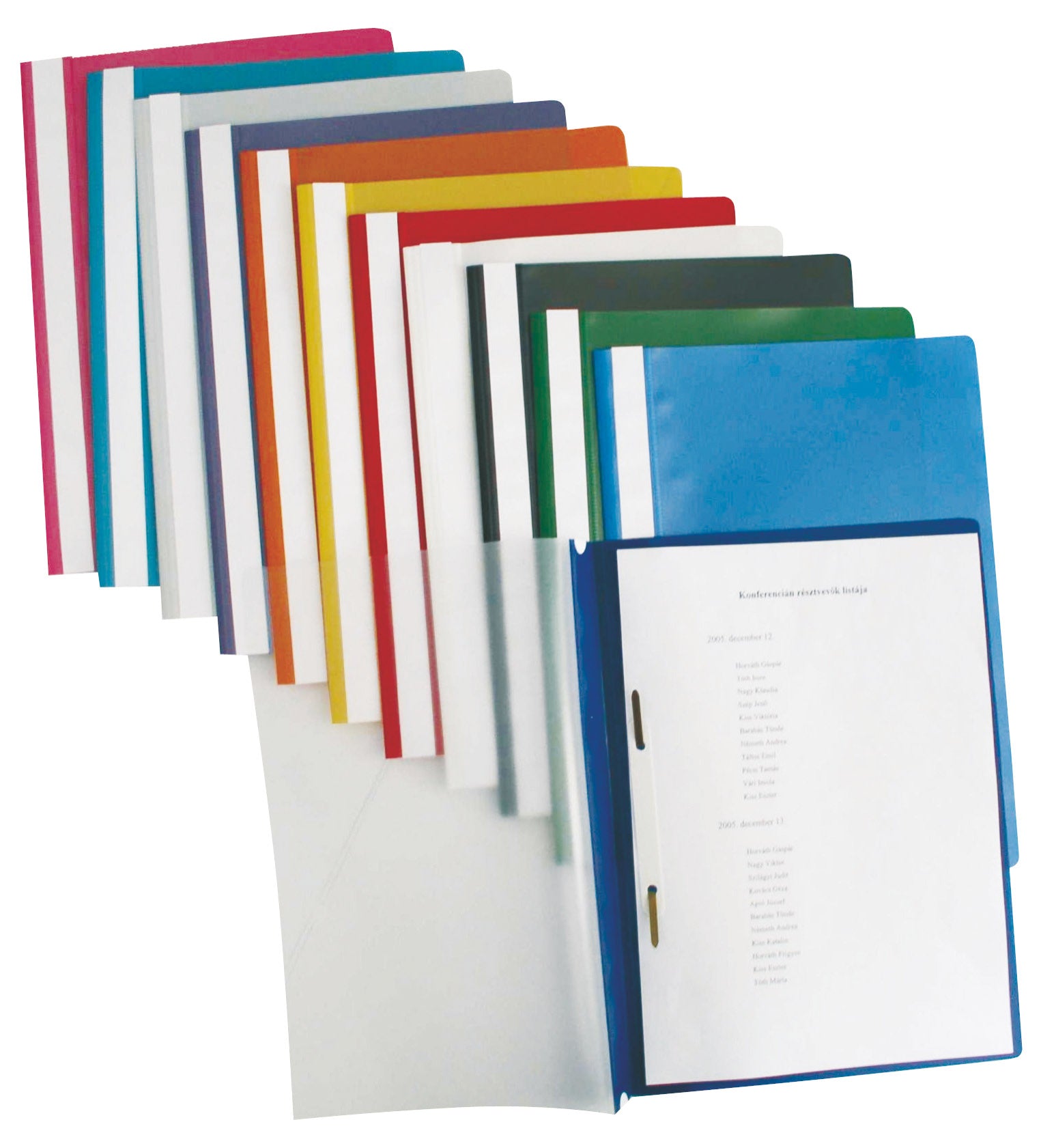 DOSAR PLASTIC CU SINA MOV 25/SET ESSELTE