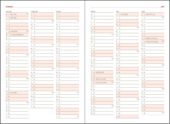 AGENDA A5 ZILNICA BORDO 2025 BASIC EGO