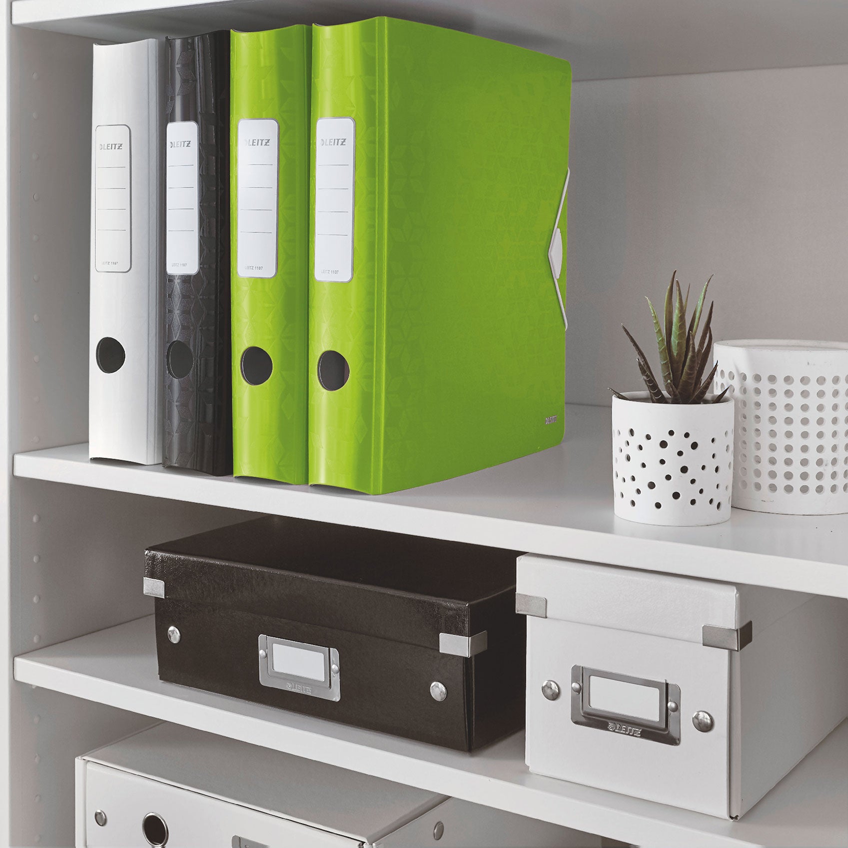 BIBLIORAFT PLASTIFIAT 5CM 180GRADE VERDE ACTIVE WOW LEITZ