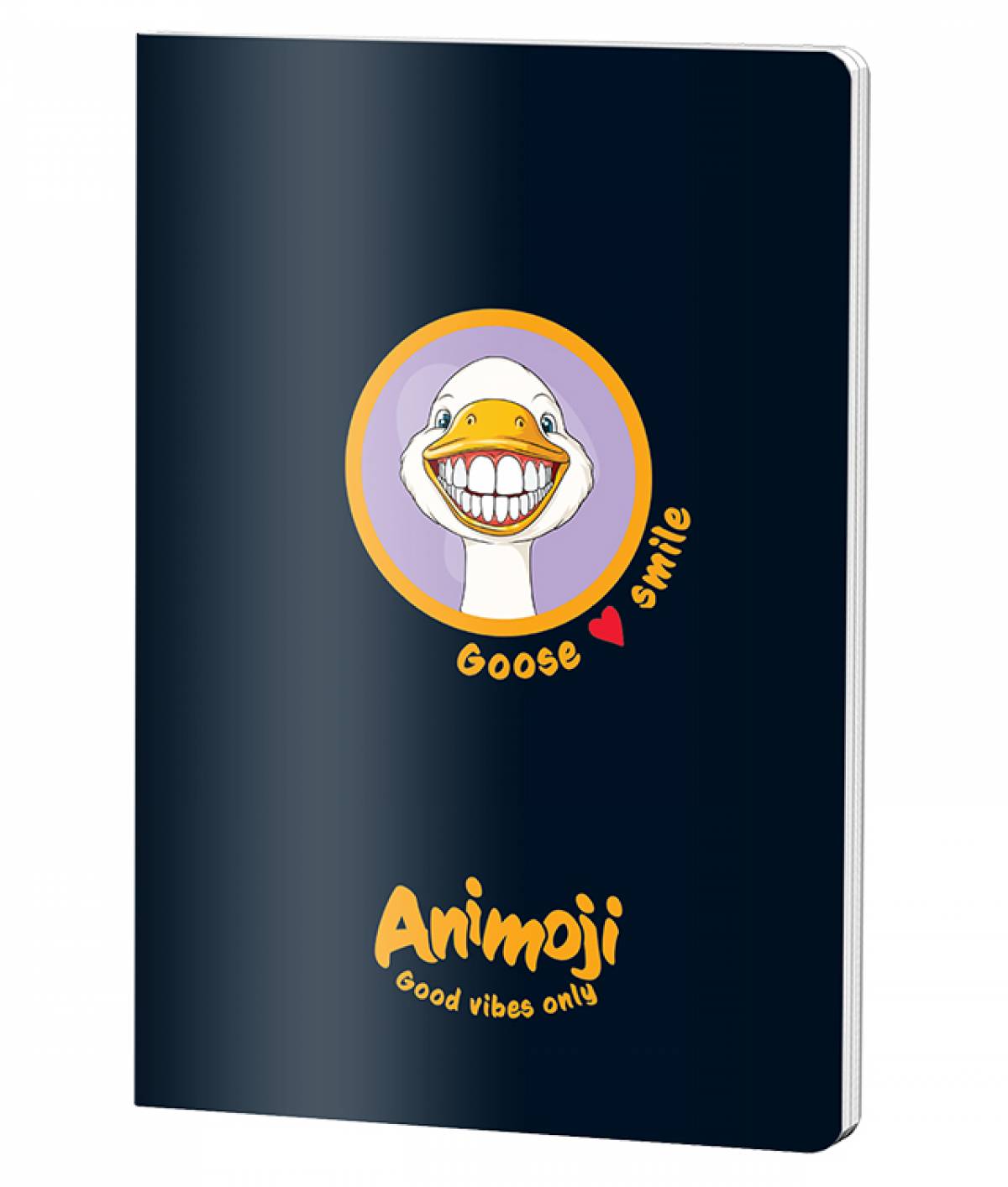 CAIET A5 80 FILE ARITMETICA ANIMOJI PIGNA