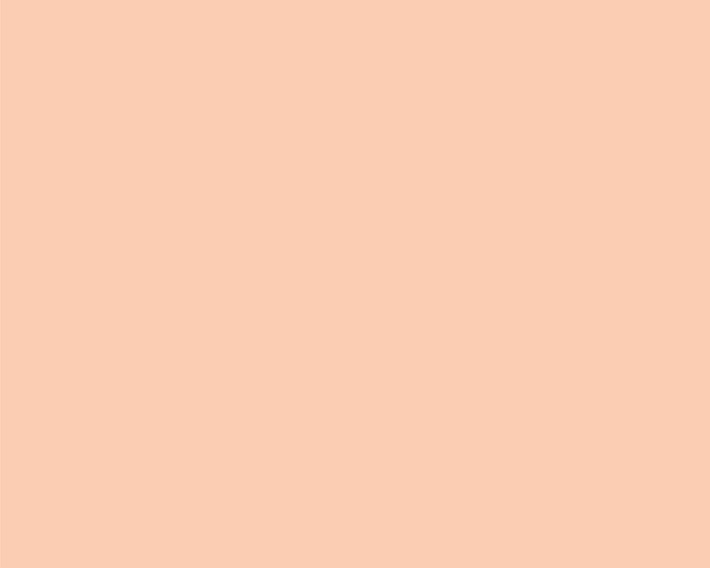 CARTON COPIATOR A4 SALMON PAL 160G 250/TOP SA24 NIVEUS