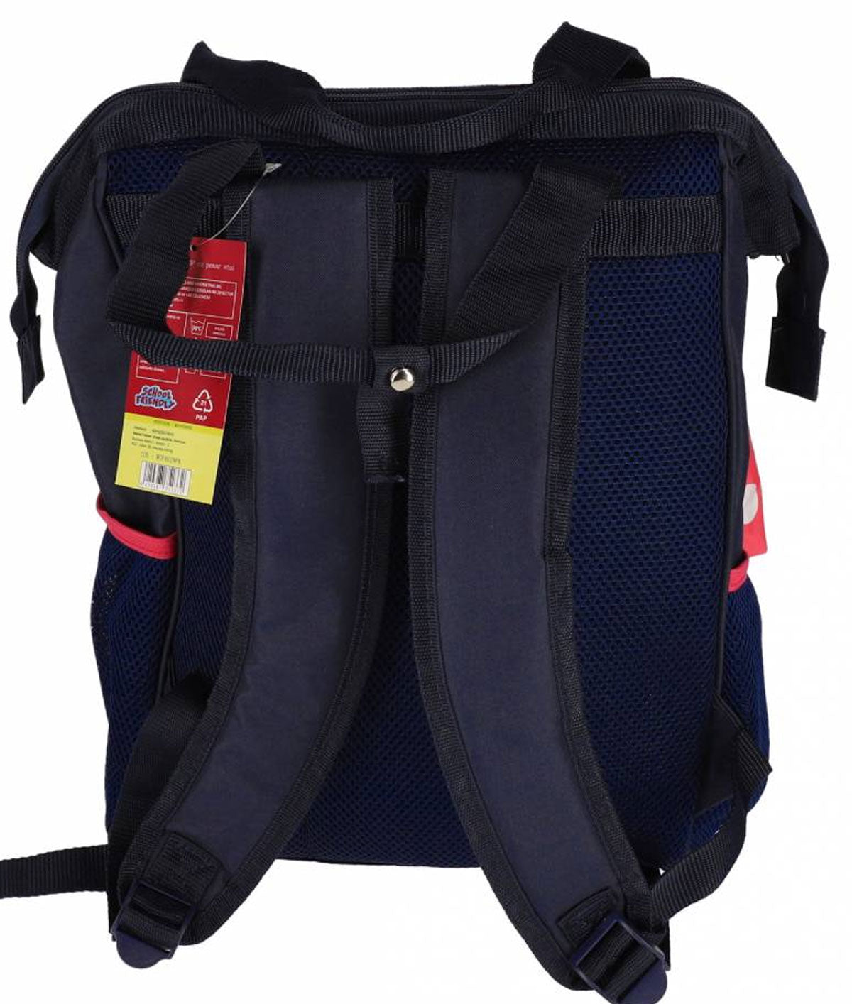 GHIOZDAN CLASELE 1-4 BLUE ROZ CU PENAR 3 FERMOARE PIGNA