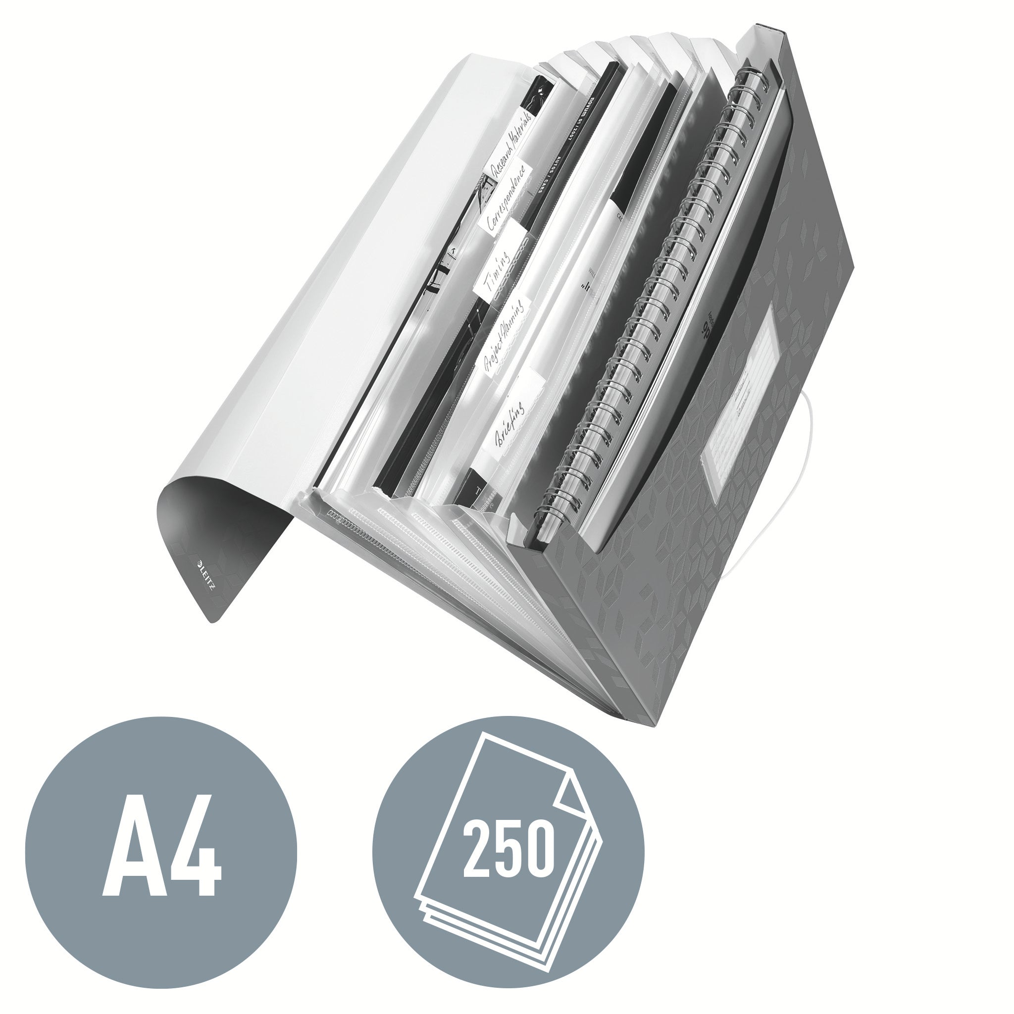 MAPA PLASTIC 6 COMPARTIMENTE ROSIE TIP PROIECT WOW LEITZ