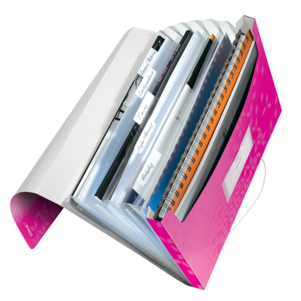 MAPA PLASTIC 6 COMPARTIMENTE ROZ METALIZAT TIP PROIECT WOW LEITZ