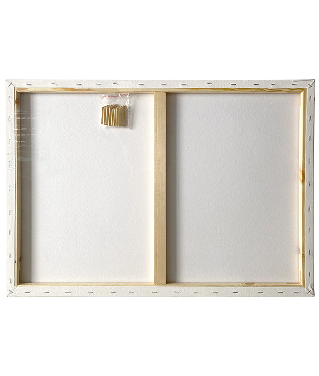 PANZA PENTRU PICTURA PE SASIU 50 x 70 CM SF ART PIGNA