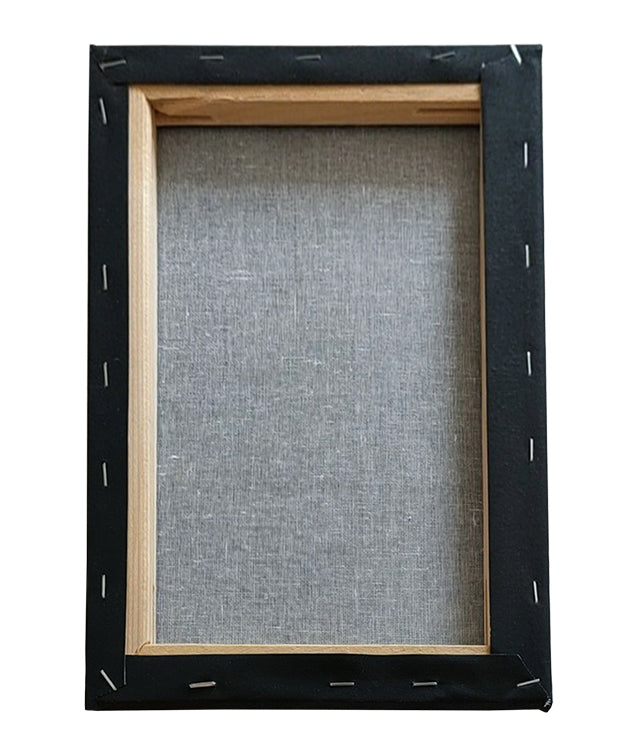 PANZA PENTRU PICTURA PE SASIU NEAGRA 24 x 30 CM SF ART PIGNA