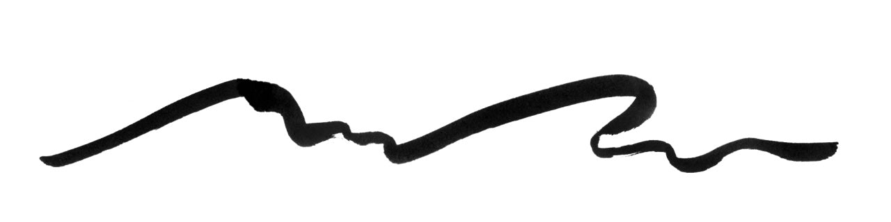 PITT ARTIST PEN BIG BRUSH NEGRU FABER-CASTELL