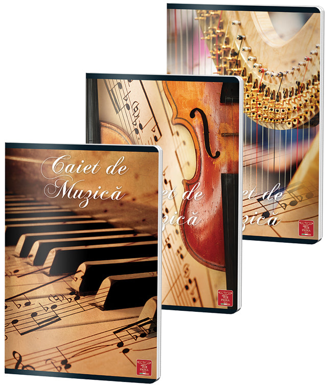 CAIET MUZICA A4 24 FILE COLOR PIGNA