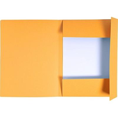 DOSAR CARTON PLIC PORTOCALIU EXACOMPTA