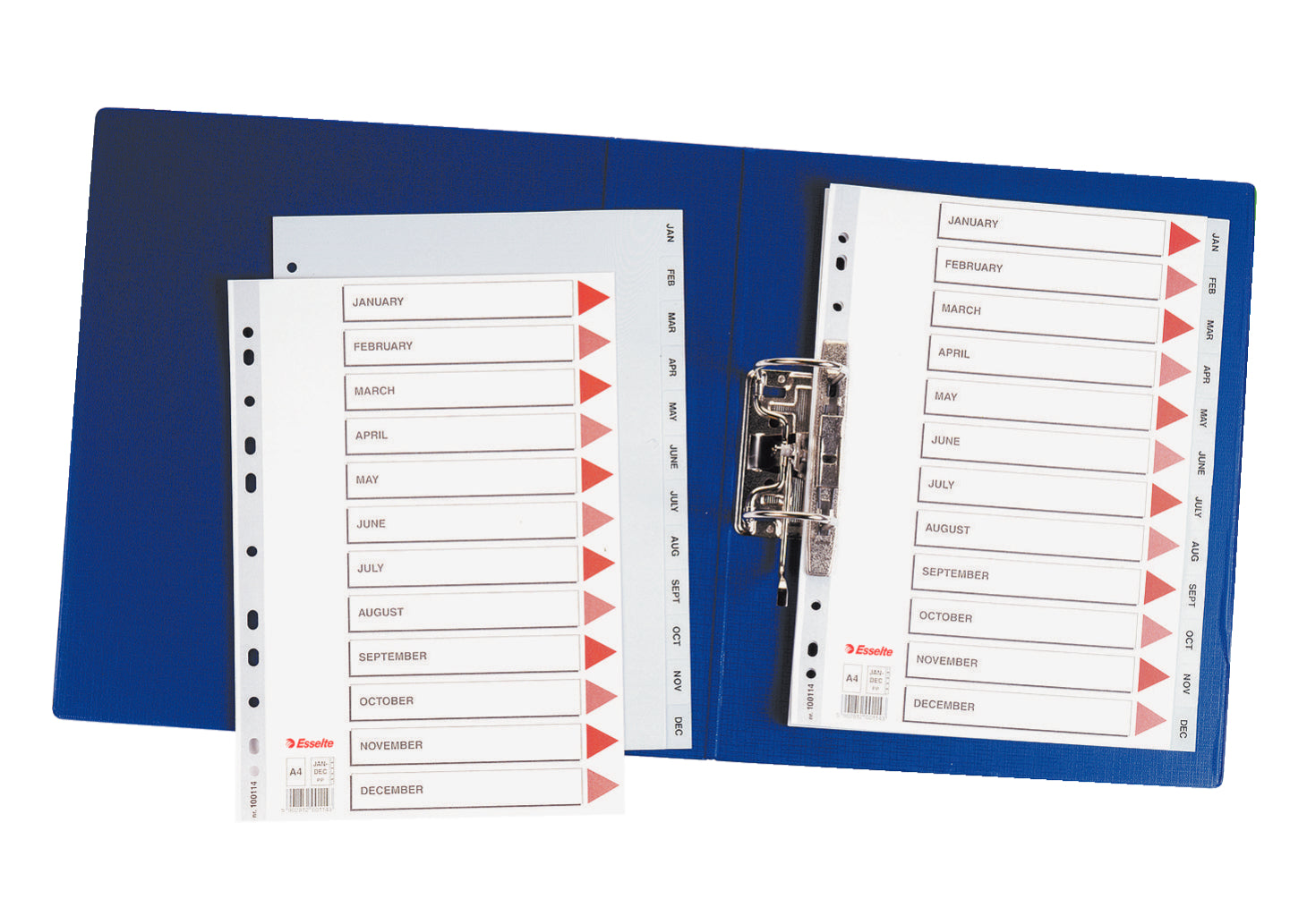 SEPARATOARE INDEX PLASTIC IAN-DEC ESSELTE