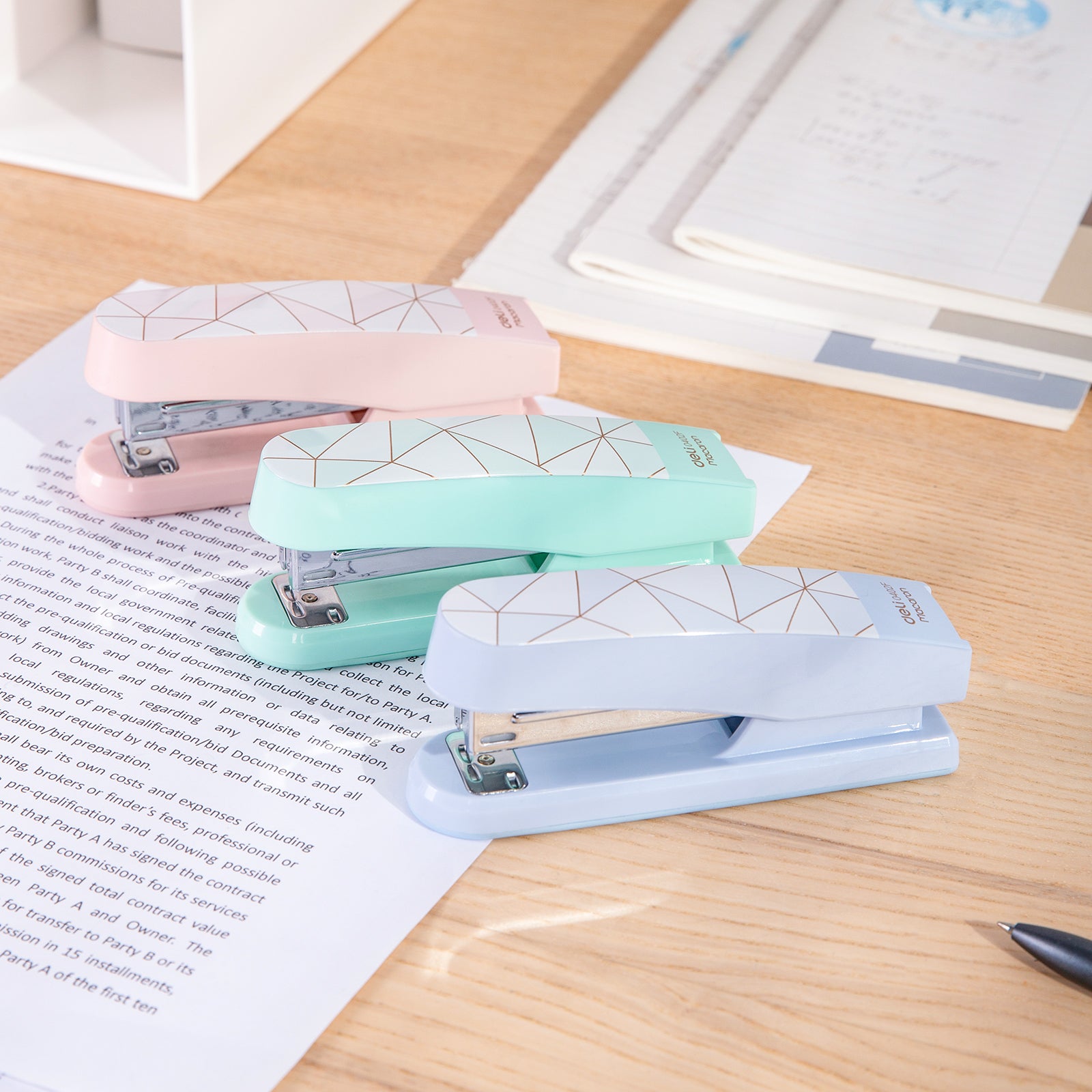 CAPSATOR 25 COLI 24/6 MACARONS DELI