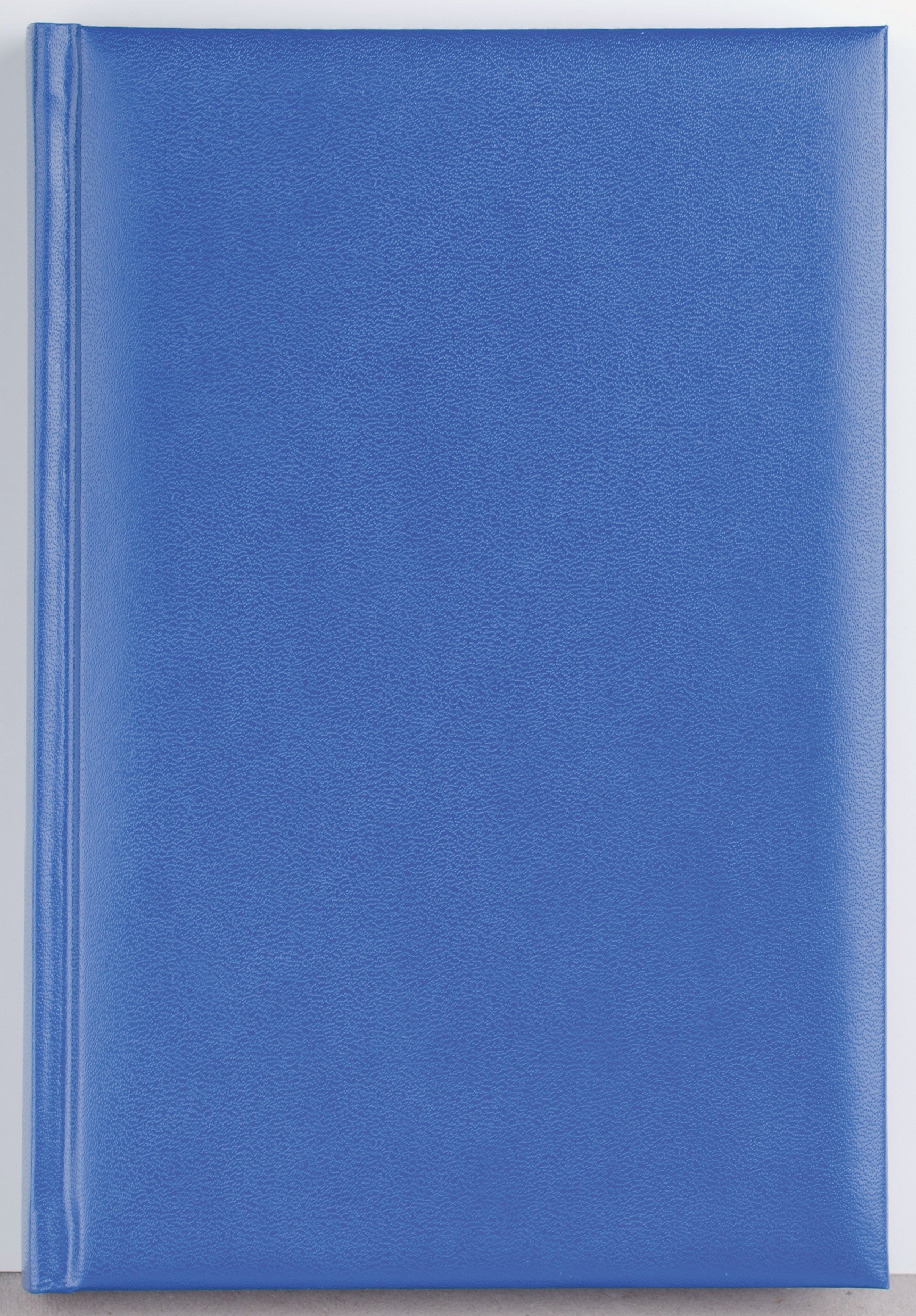 AGENDA A5 ZILNICA ALBASTRA 2025 BASIC EGO
