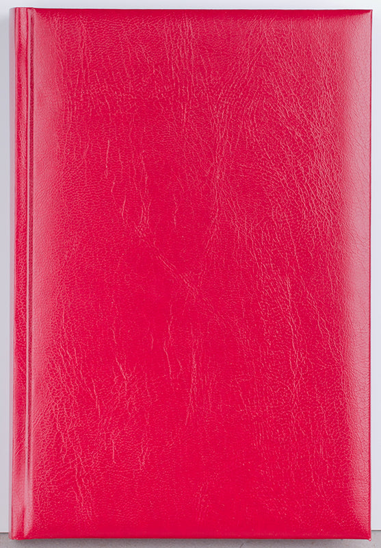 AGENDA A5 ZILNICA BORDO 2025 BASIC EGO