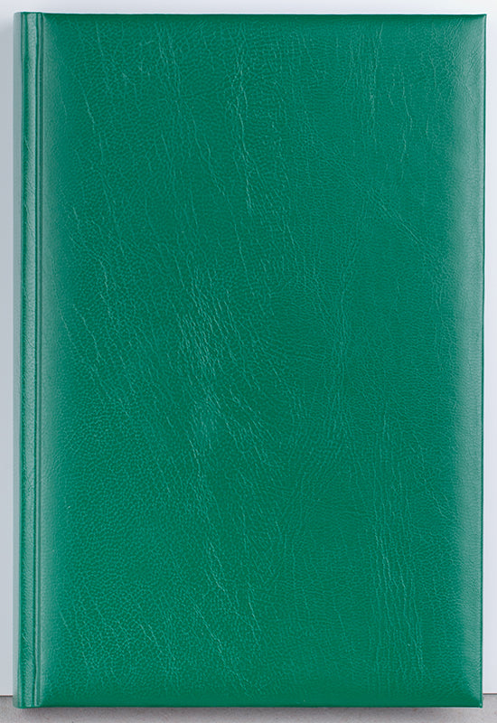 AGENDA A5 ZILNICA VERDE 2025 BASIC EGO