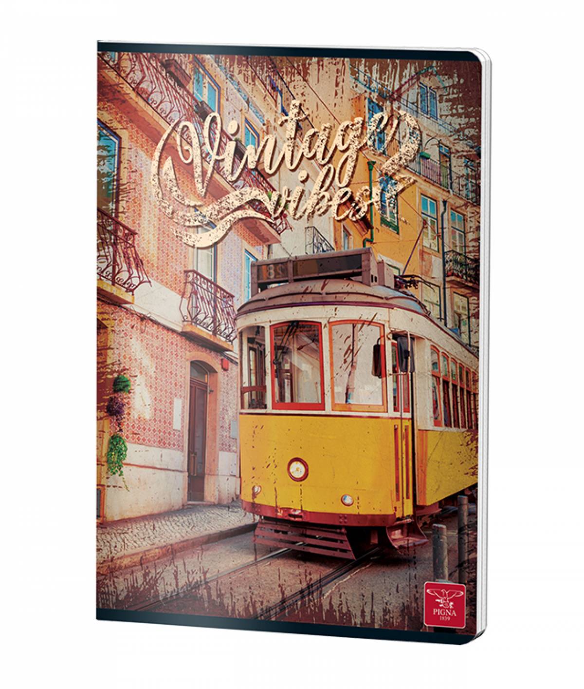 CAIET A4 60 FILE VELIN COLOR PIGNA