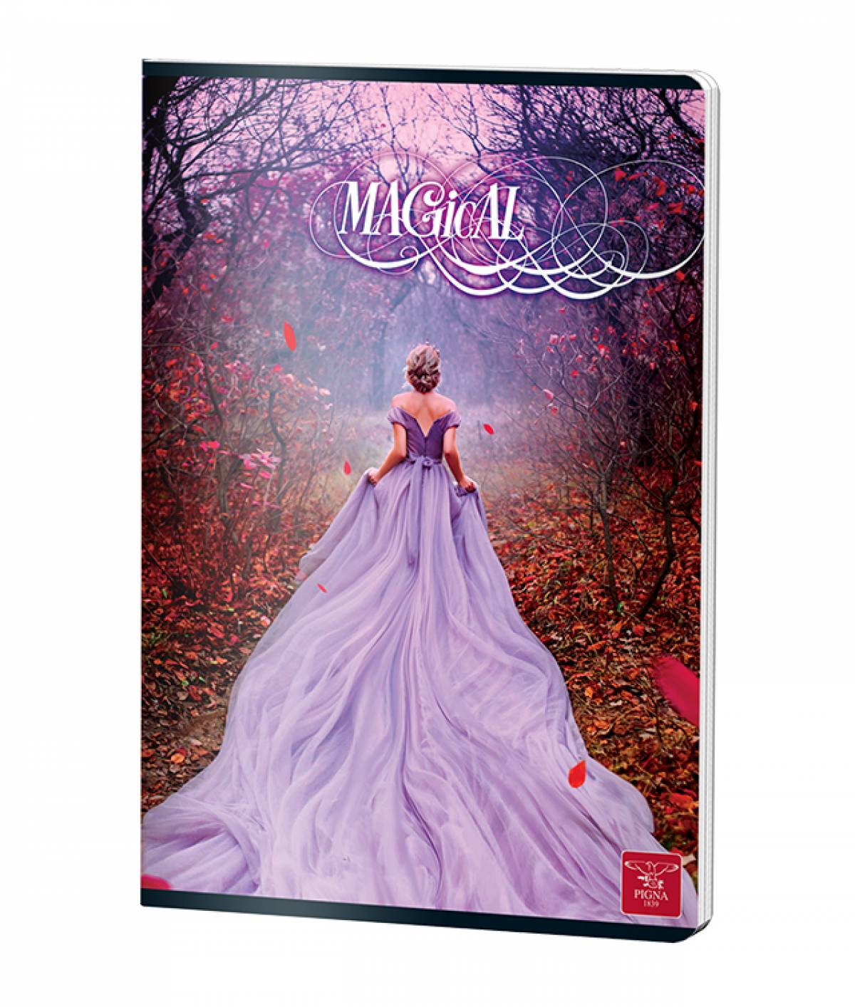 CAIET A4 60 FILE VELIN COLOR PIGNA