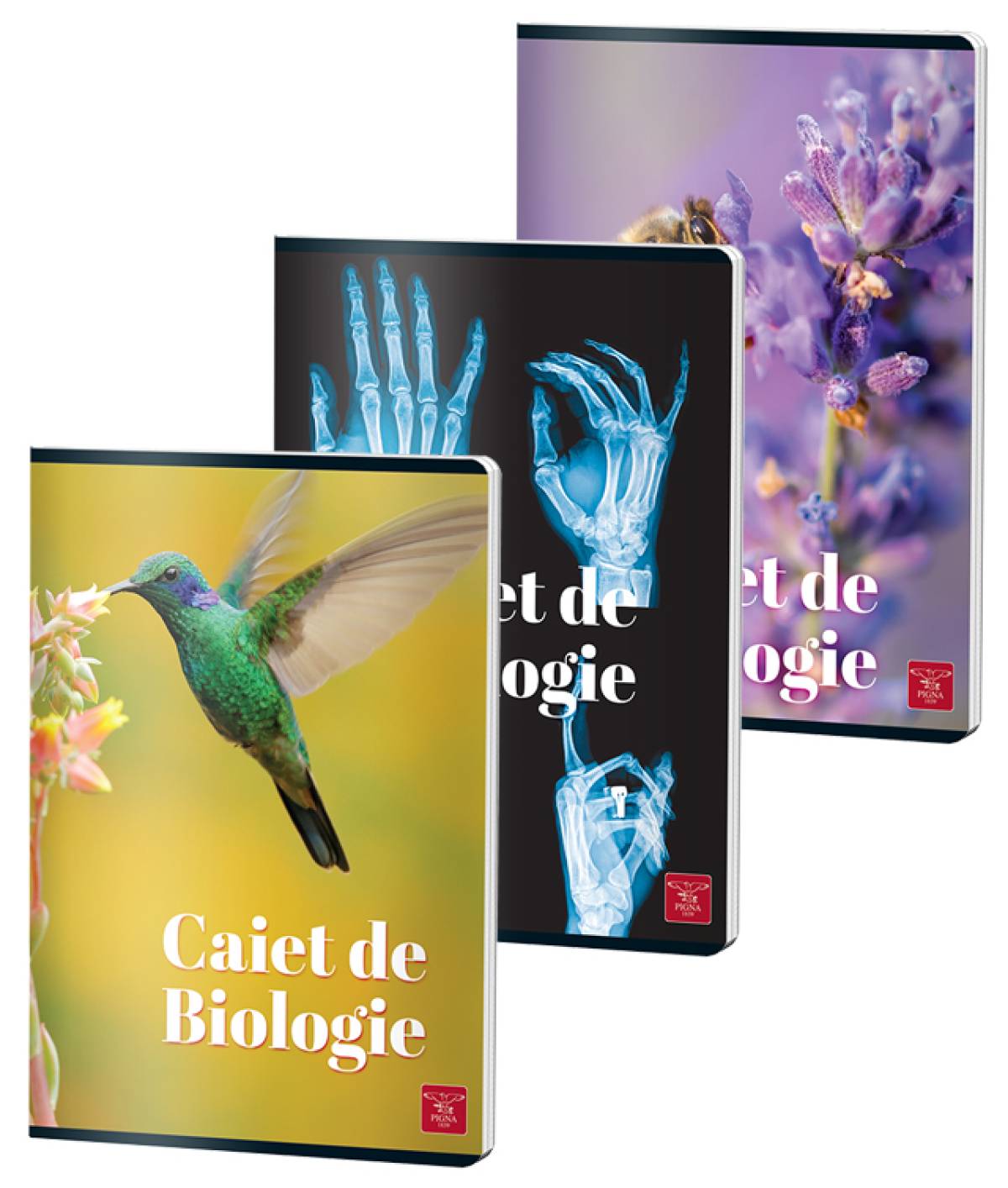 CAIET BIOLOGIE A4 24 FILE COLOR PIGNA