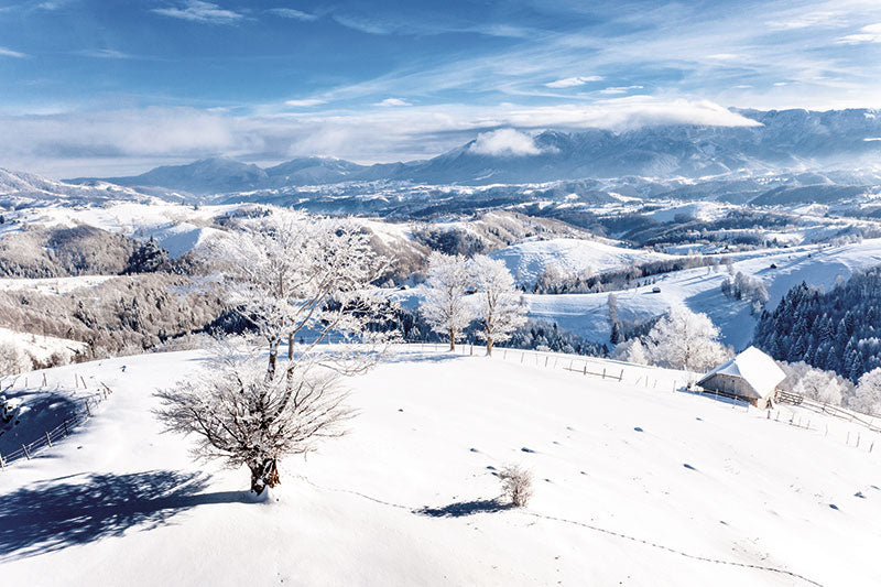 CALENDAR PERETE ROMANIA 13 FILE EGO