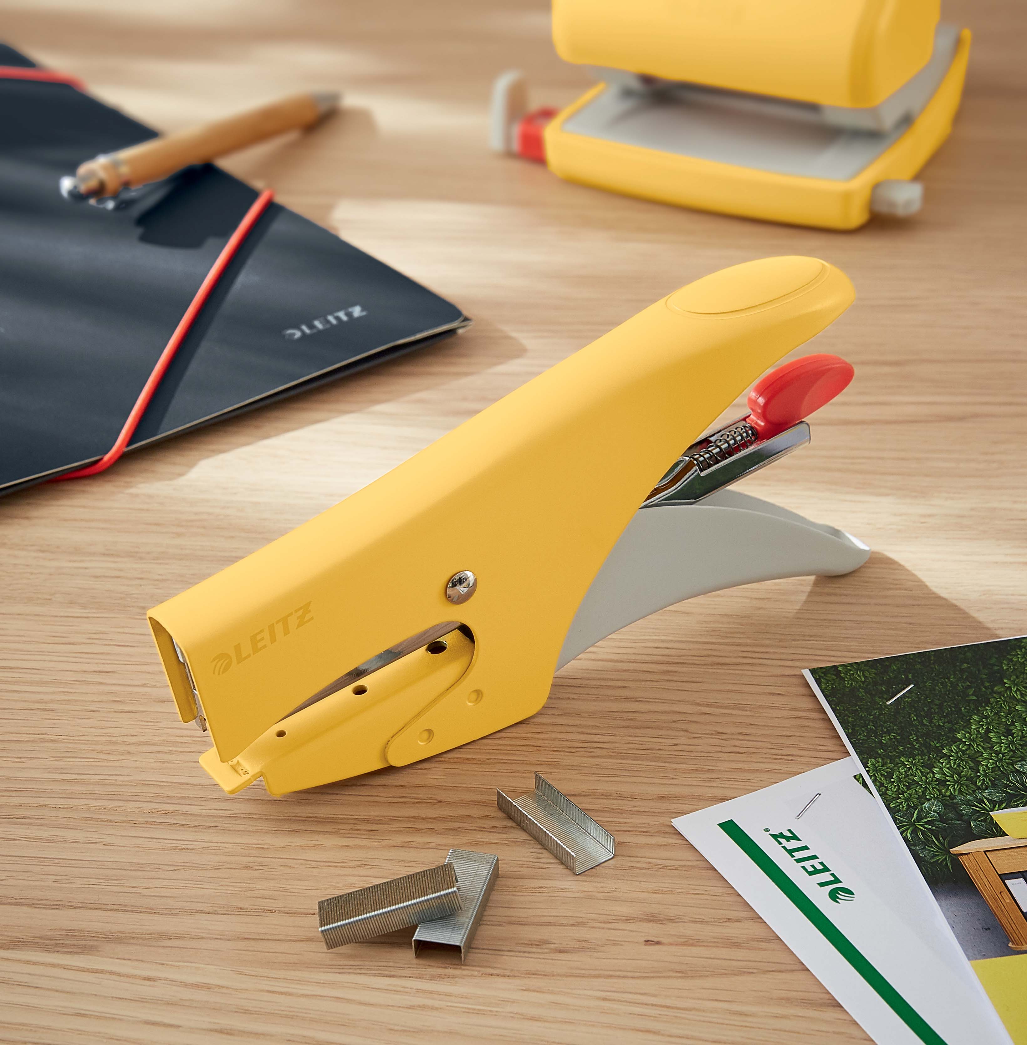 CAPSATOR 15 COLI NR 10 MODEL 5645 GALBEN CHIHLIMBAR LEITZ