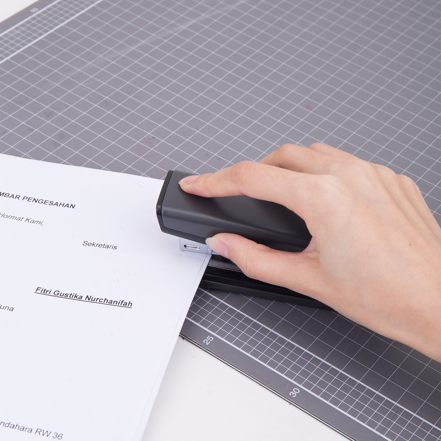 CAPSATOR 25 COLI 24/6 CORP METAL E0462 DELI