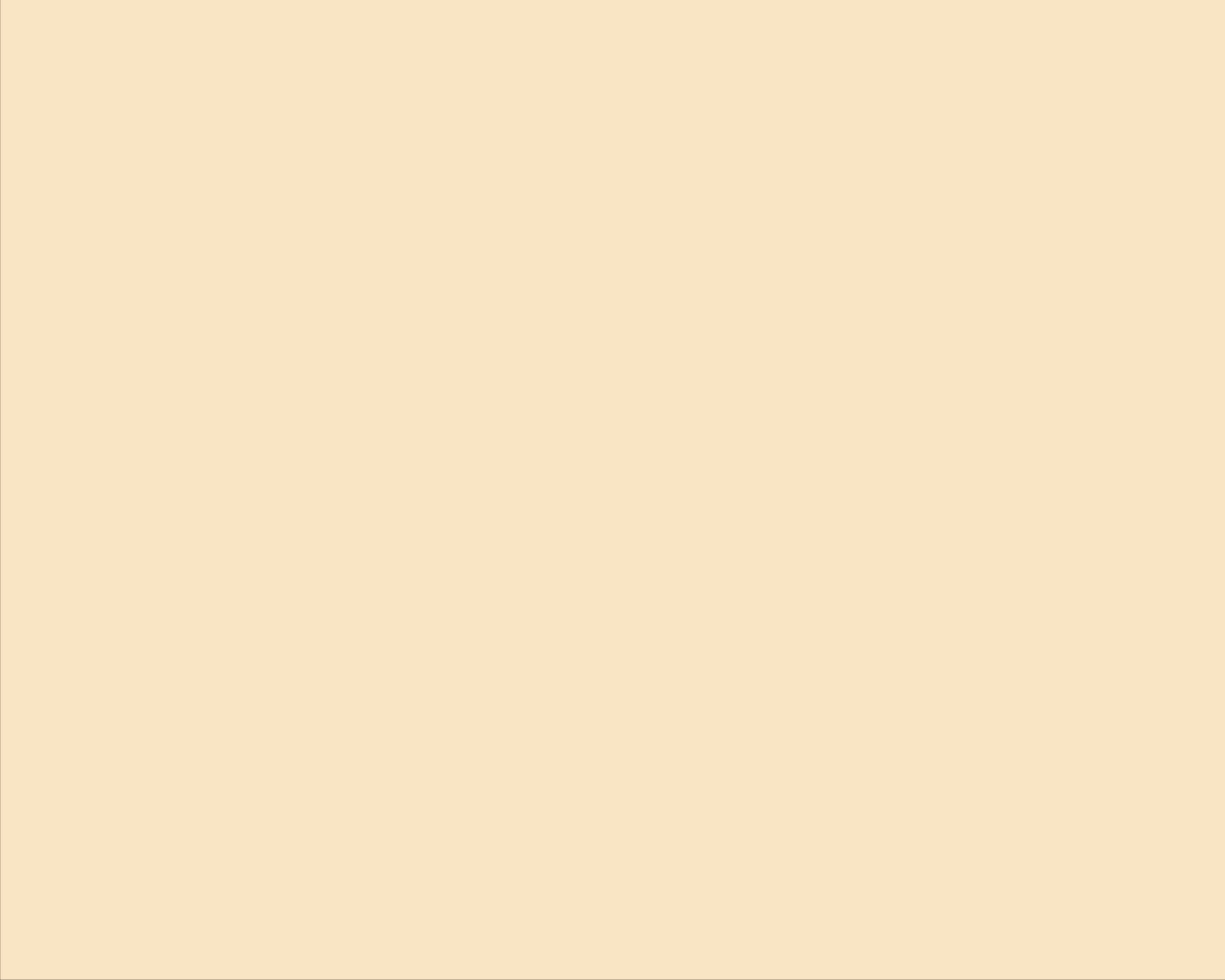 CARTON COPIATOR A4 CREAM 160G 250/TOP CR20 NIVEUS