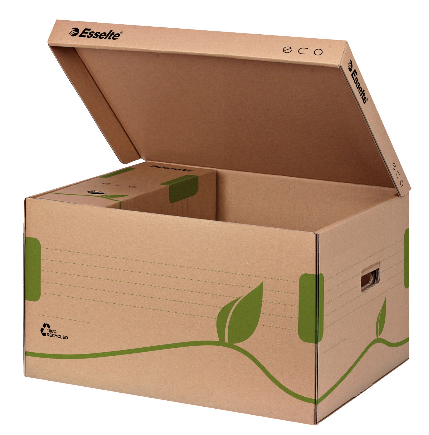 CONTAINER DE ARHIVARE ECO CU CAPAC PENTRU CUTII 80/100 ESSELTE