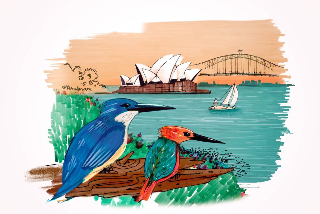 CUTIE 12 CULORI PITT ARTIST PEN CITIES SYDNEY FABER-CASTELL