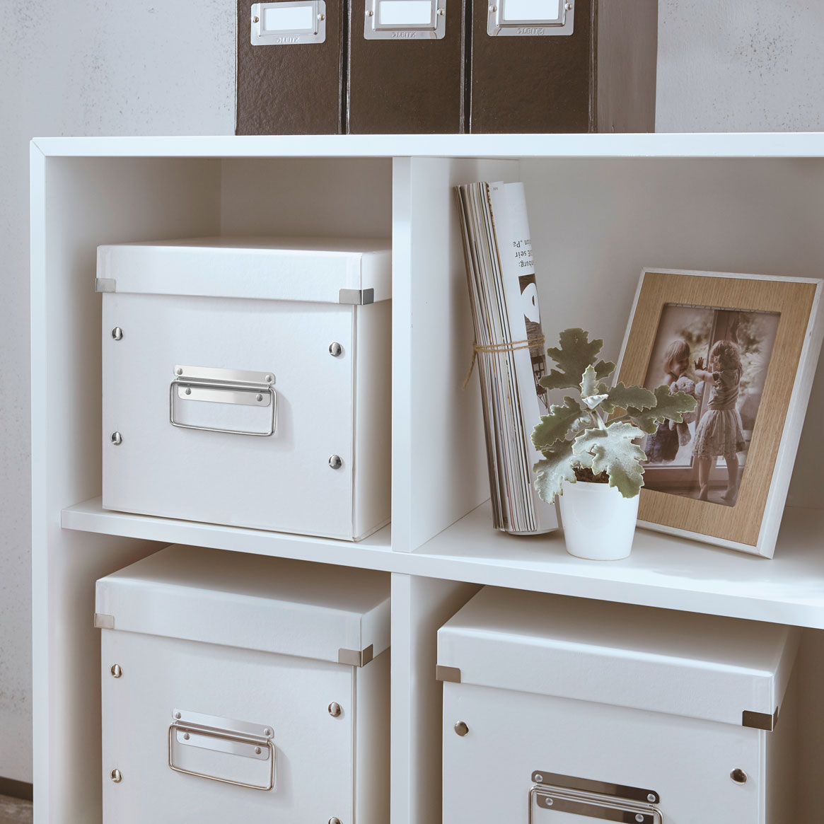 CUTIE CLICK&STORE MEDIE CUB ALBA LEITZ