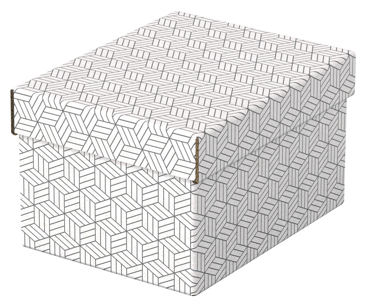 CUTIE DEPOZITARE CU CAPAC 25 x 20 x 15 CM ALBA RECYCLED ESSELTE