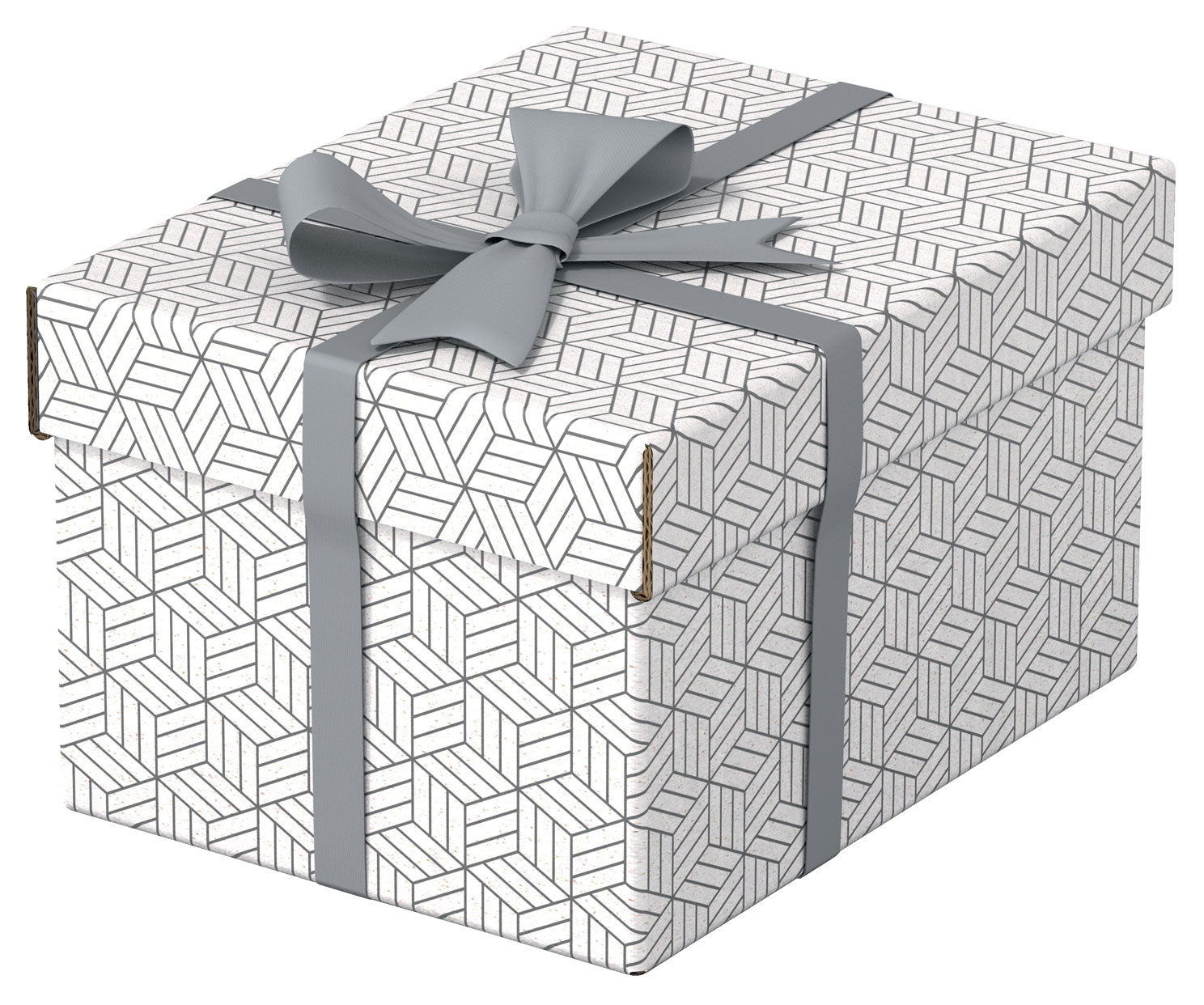 CUTIE DEPOZITARE CU CAPAC 25 x 20 x 15 CM ALBA RECYCLED ESSELTE