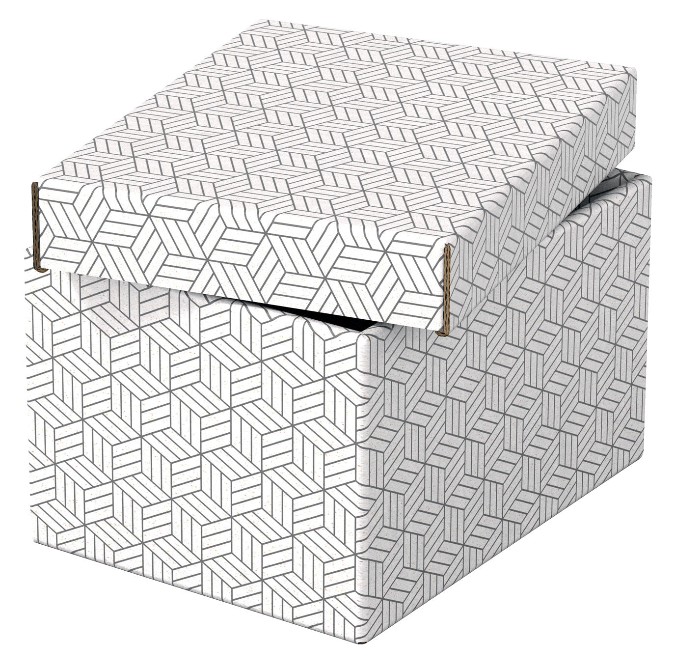 CUTIE DEPOZITARE CU CAPAC 25 x 20 x 15 CM ALBA RECYCLED ESSELTE