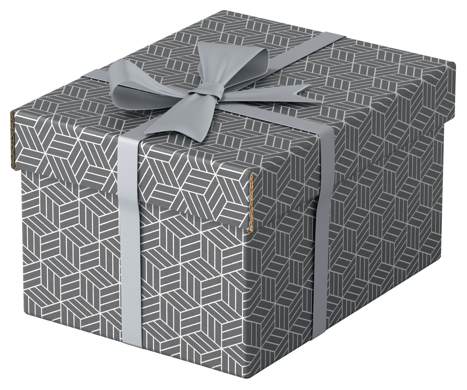 CUTIE DEPOZITARE CU CAPAC 25 x 20 x 15 CM GRI RECYCLED ESSELTE