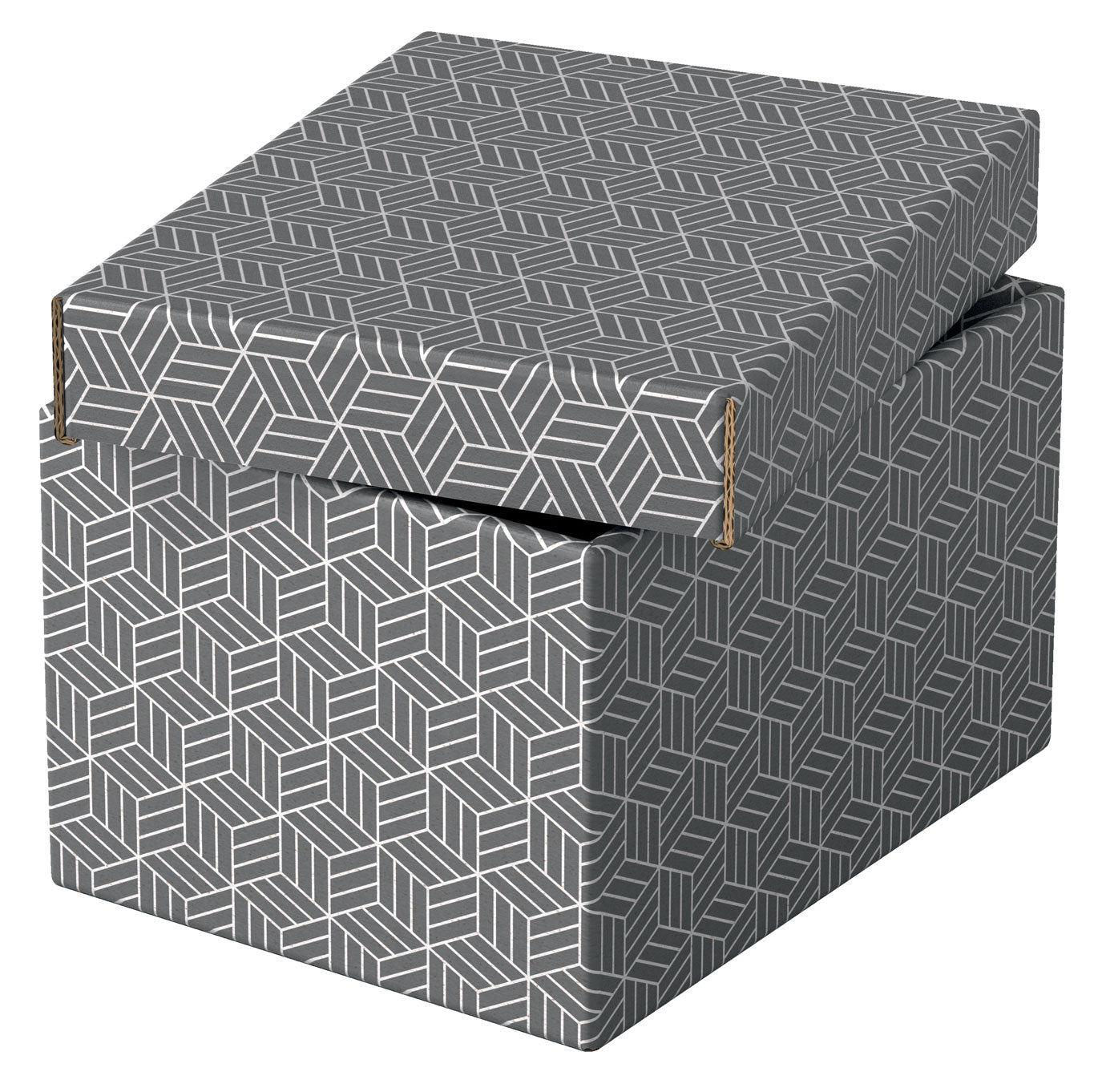 CUTIE DEPOZITARE CU CAPAC 25 x 20 x 15 CM GRI RECYCLED ESSELTE