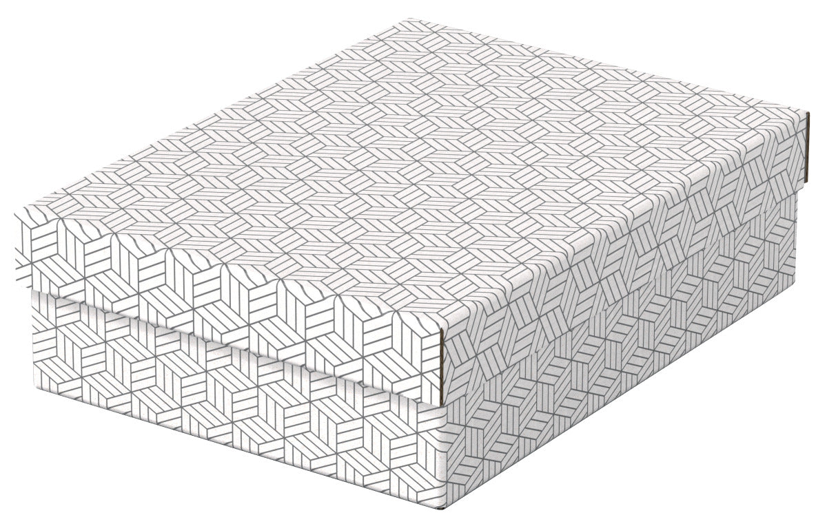 CUTIE DEPOZITARE CU CAPAC 36 x 26 x 10 CM ALBA RECYCLED ESSELTE