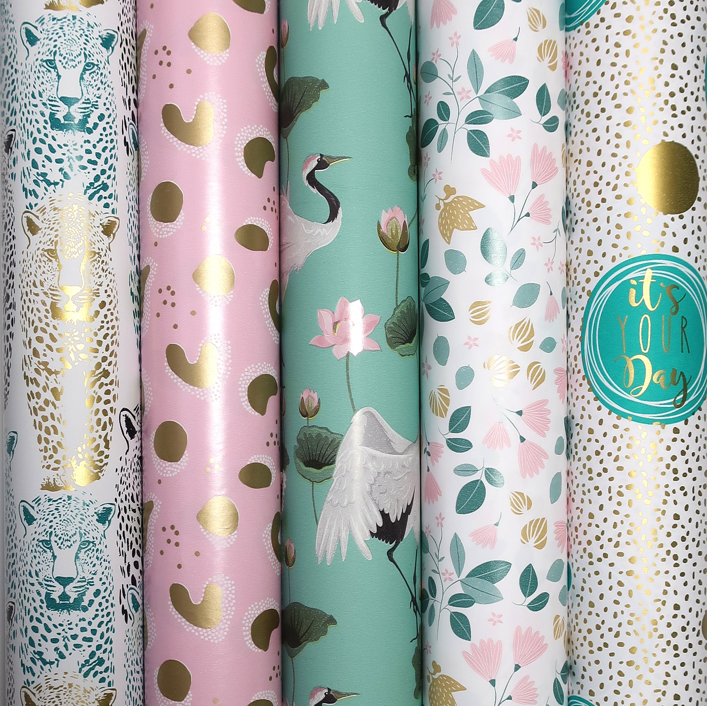 DISPLAY WAUW-BOX EVELYN ROTOLUX