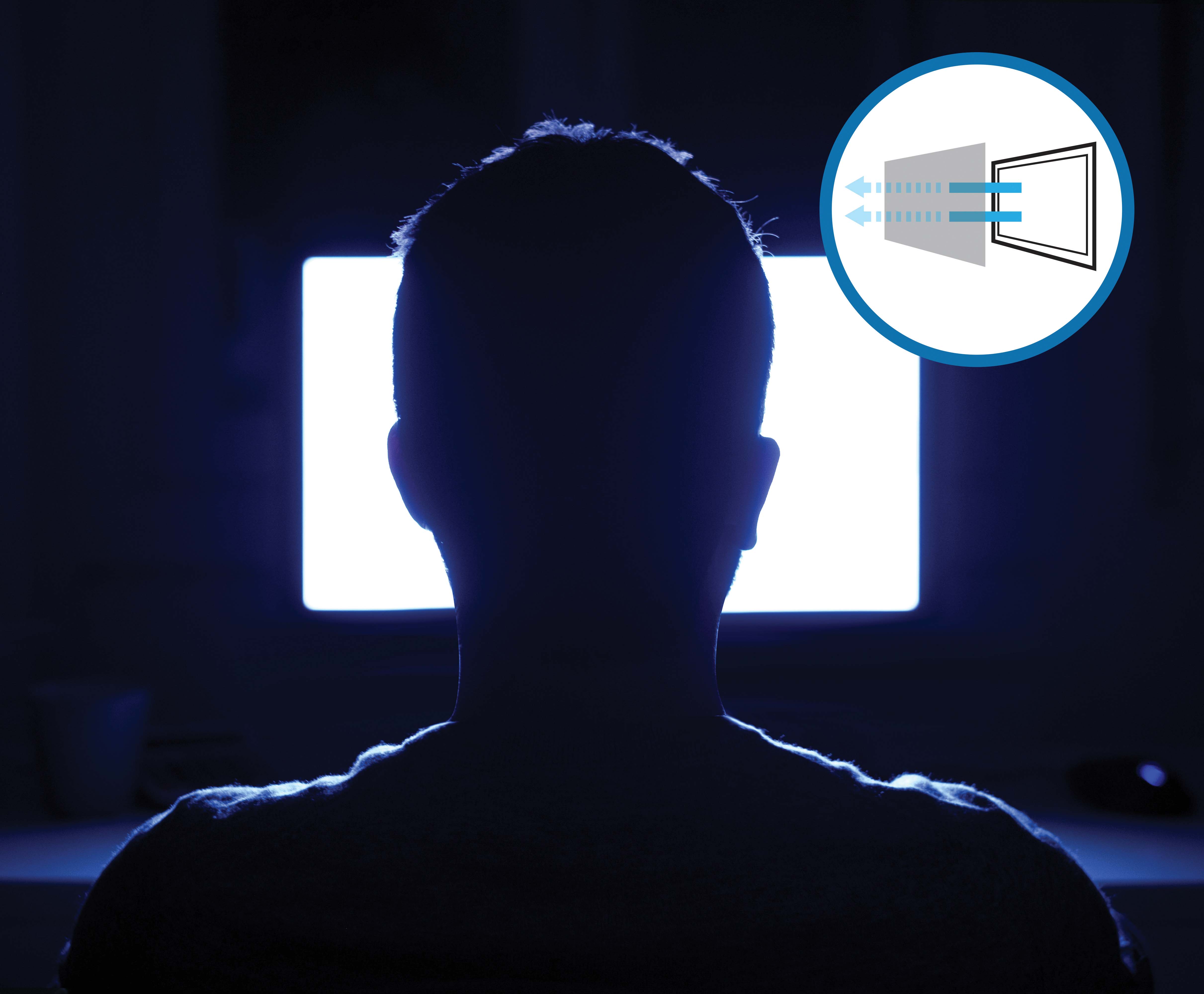 FILTRU CONFIDENTIALITATE PENTRU MONITOR 24