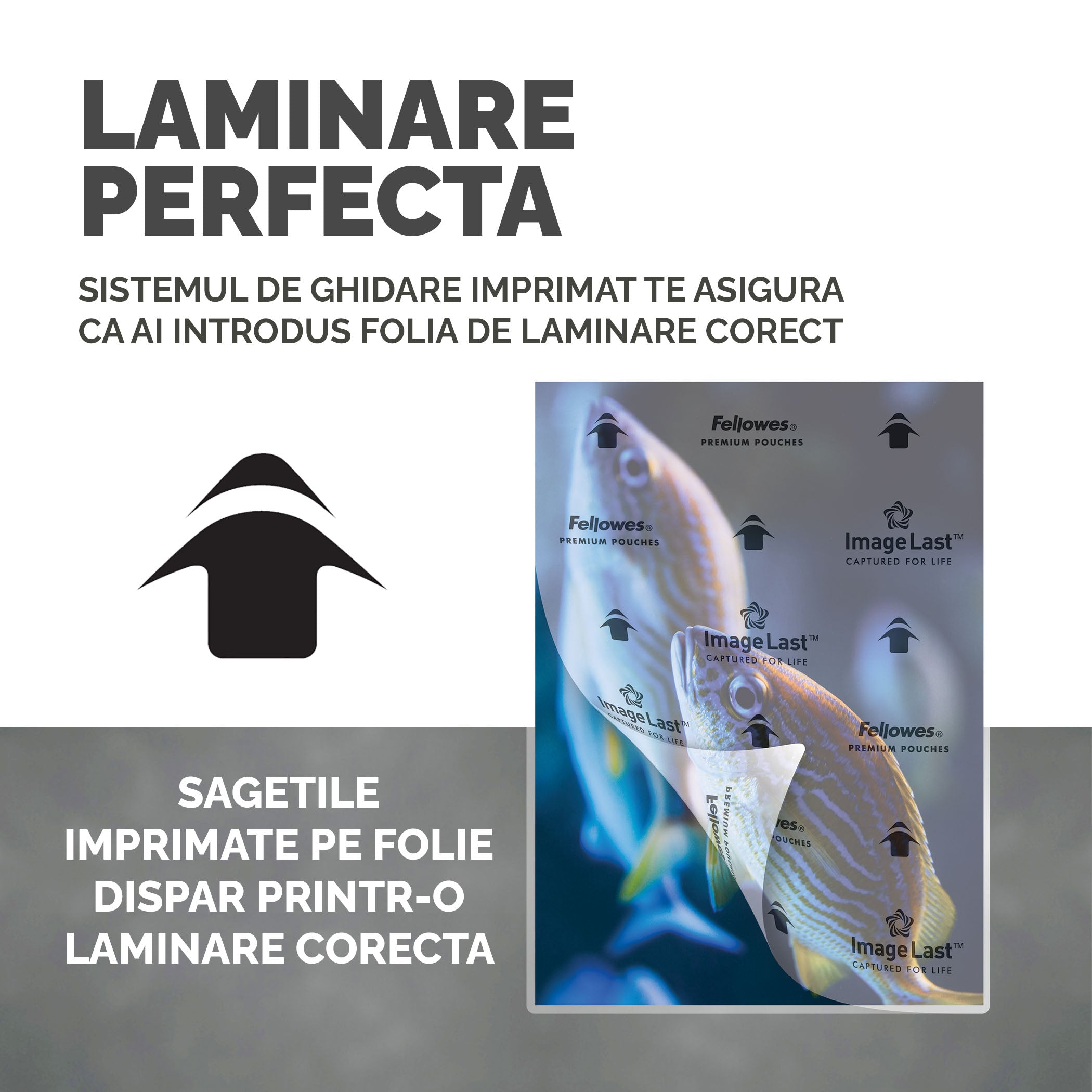 FOLIE A4 125 MICRONI 100/TOP FELLOWES