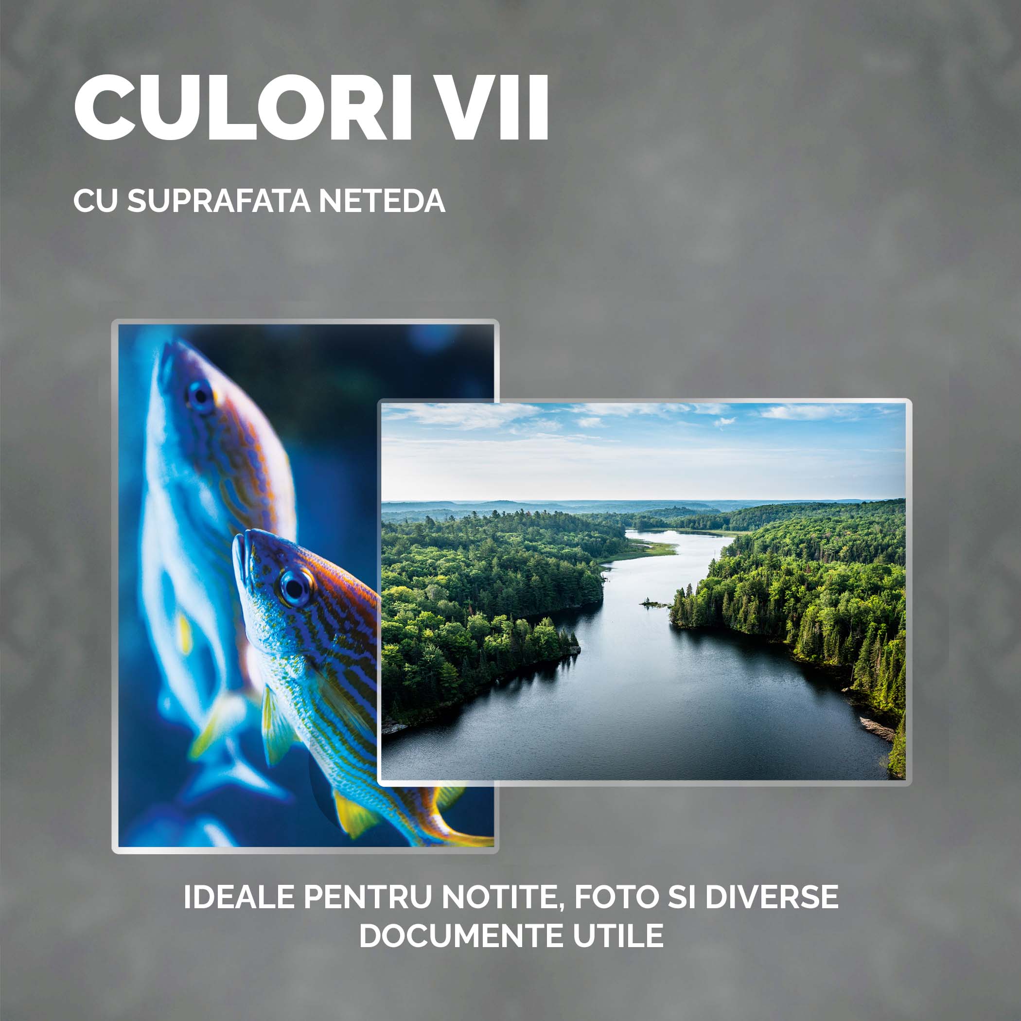 FOLIE A5 80 MICRONI 100/TOP FELLOWES