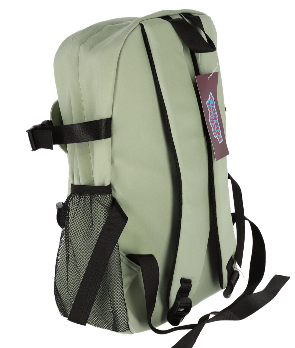 GHIOZDAN CLASELE 1-4 VERDE 2 FERMOARE PIGNA