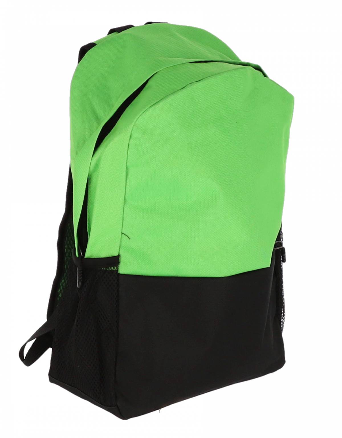 GHIOZDAN CLASELE I-IV VERDE 2 FERMOARE PIGNA