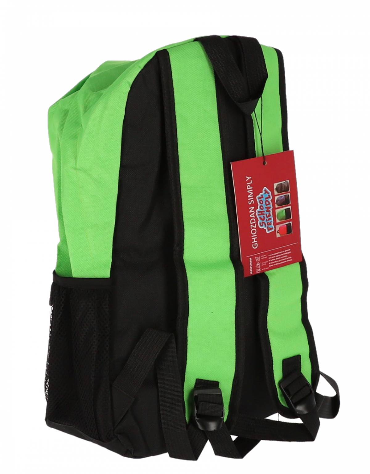 GHIOZDAN CLASELE I-IV VERDE 2 FERMOARE PIGNA