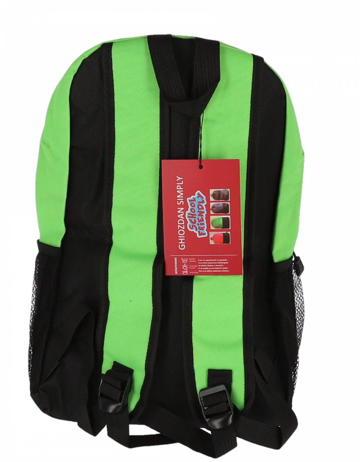 GHIOZDAN CLASELE I-IV VERDE 2 FERMOARE PIGNA