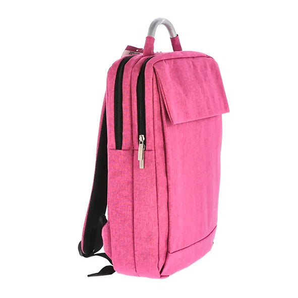 GHIOZDAN LAPTOP PINK IT USB 2 FERMOARE PIGNA