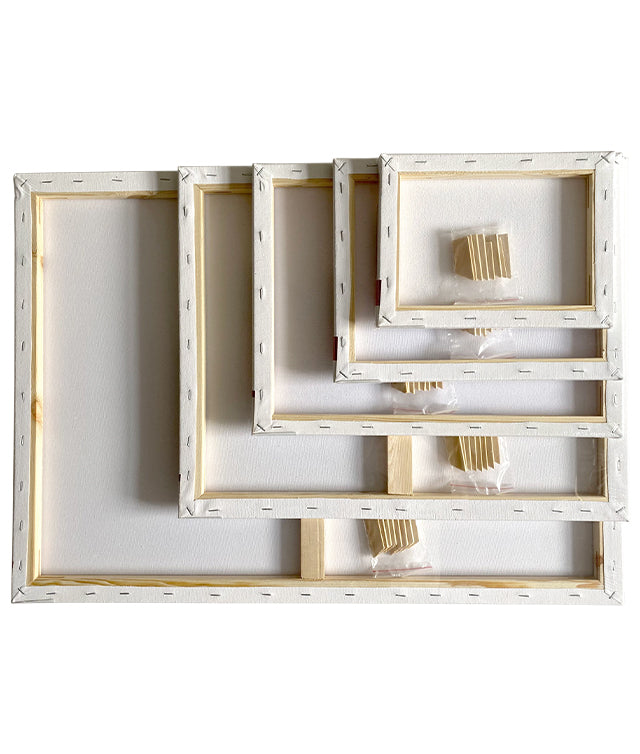 PANZA PENTRU PICTURA PE SASIU 20 x 20 CM SF ART PIGNA