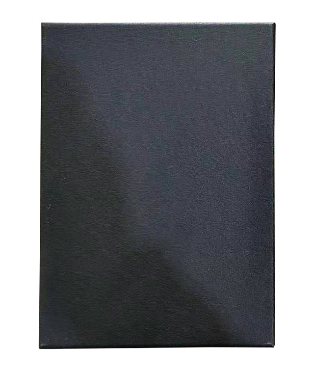 PANZA PENTRU PICTURA PE SASIU NEAGRA 24 x 30 CM SF ART PIGNA