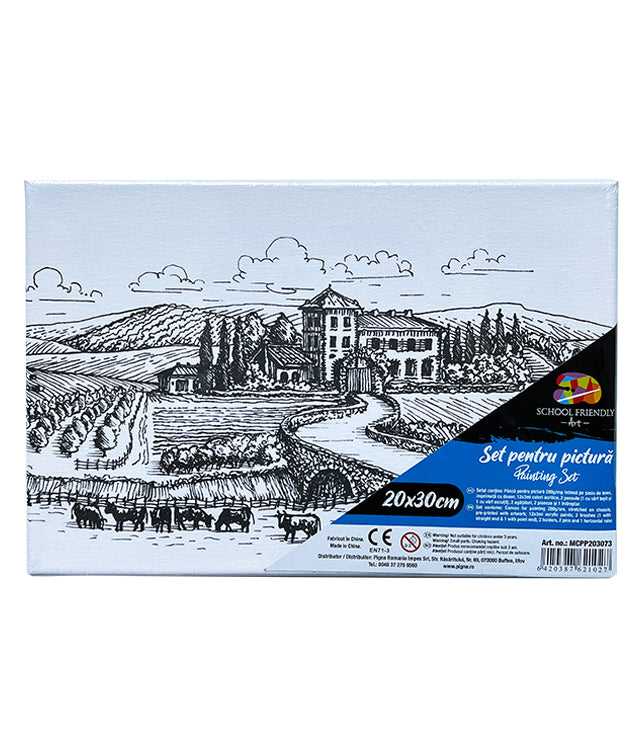 PANZA PREDESENATA PE SASIU 20*30CM PEISAJ SF ART PIGNA