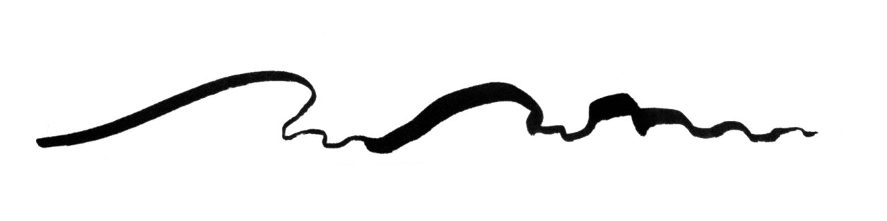 PITT ARTIST PEN BRUSH NEGRU FABER-CASTELL