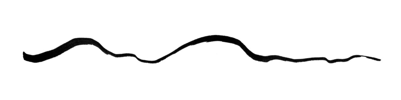 PITT ARTIST PEN FUDE HARD FH NEGRU FABER-CASTELL