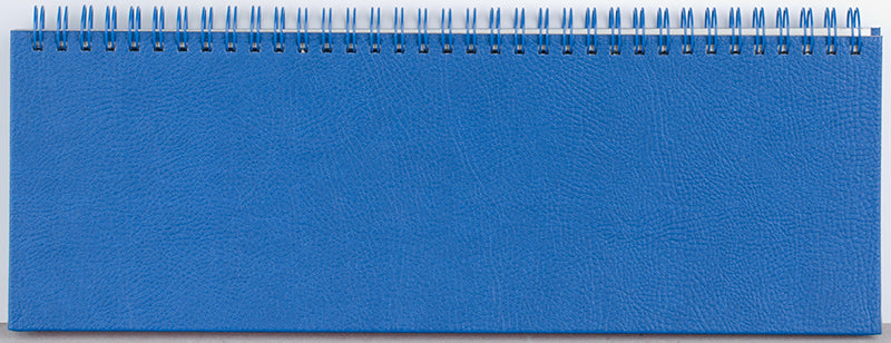 PLANNER BIROU 30 X 10 ALBASTRU 2025 HARTIE IVORY BREF EGO