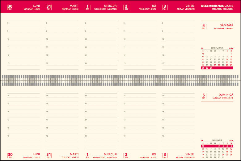 PLANNER BIROU 30 X 10 ALBASTRU 2025 HARTIE IVORY BREF EGO